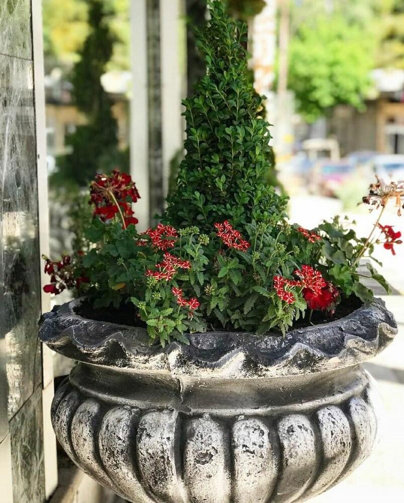 Arabesque Hotel - Tap to explore photos