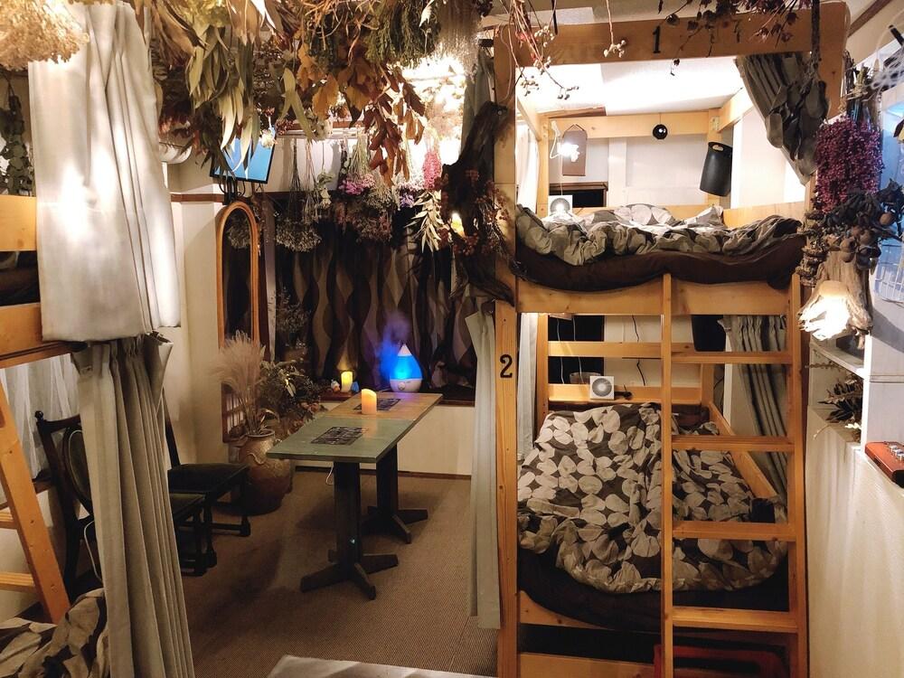 Top Edge Hostel Room Type - Shared Dormitory, Women only (2nd Floor)