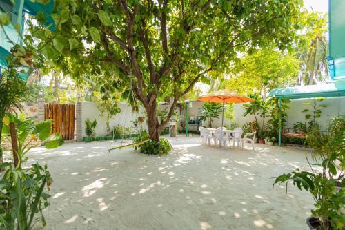 Dream inn Maldives - Tap to explore photos