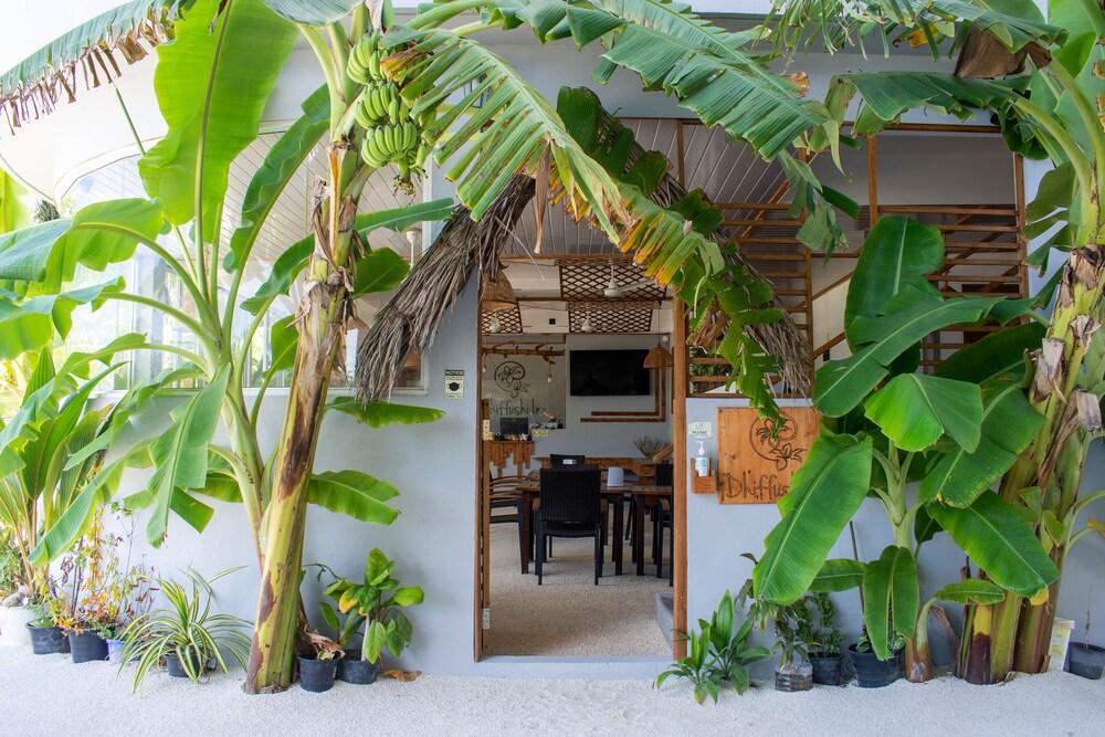 Dhiffushi Inn - Tap to explore photos