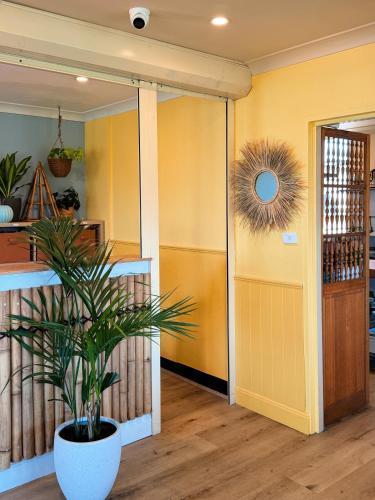 Mad Monkey Coogee Beach Hostel Room Type - Bed in 10 Bed Mixed Dormitory
