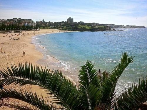 kookaburra Down Under Coogee Beach Room Type - Studio Apartment