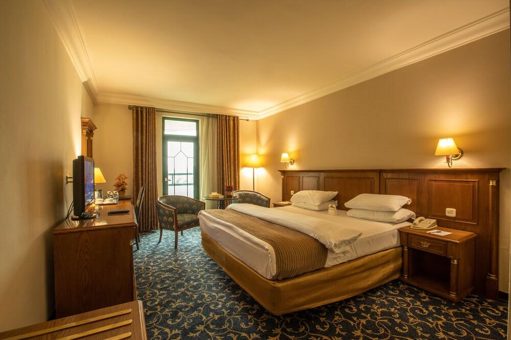 Bristol Hotel Room Type - Superior Room
