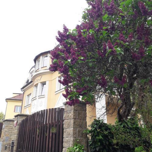 Hotel Garni Rambousek - Tap to explore photos