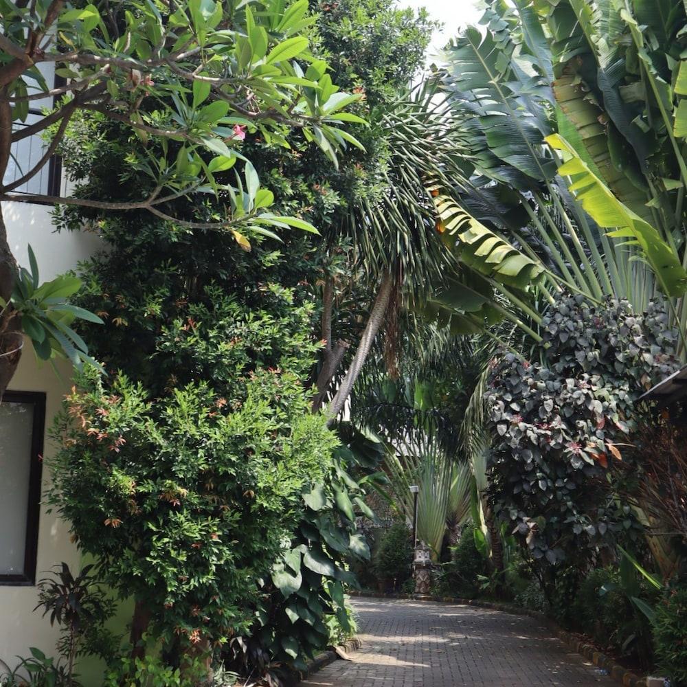 D'Bamboo Suites - Tap to explore photos