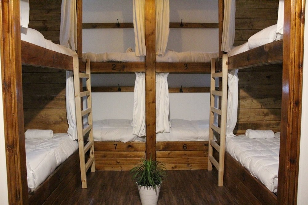 The Cabin Hostel Room Type - Shared Dormitory, Women only