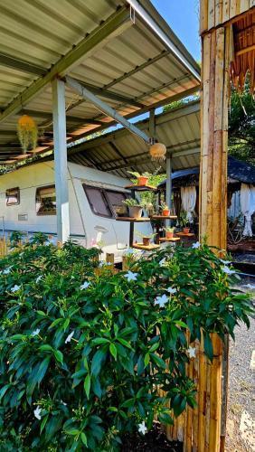 Samui Caravans Hill Camp Room Type - Caravan Samui Caravans Hill Camp Room Type - Caravan
