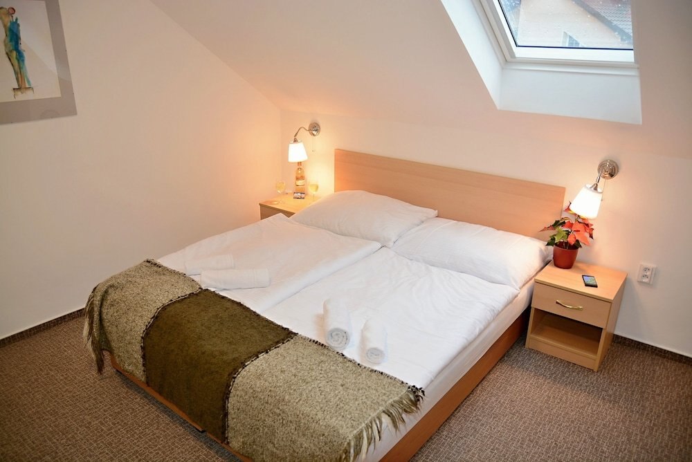 Vila Bohemia Room Type - Double or Twin Room (14)