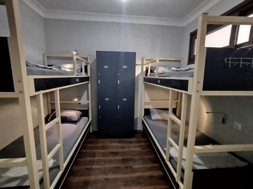 Ivy Hostel Cafe Room Type - Bunk Bed in Female Dormitory Room  