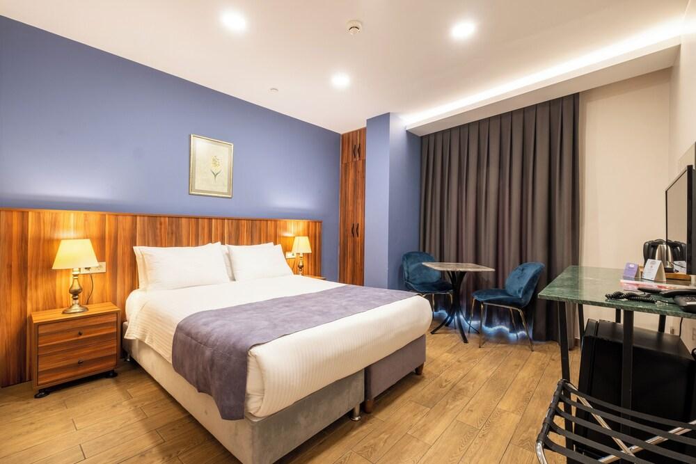 La Wisteria Boutique Hotel Istanbul Room Type - Standard Double Room, Non Smoking