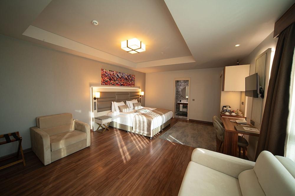 Golden Royal Hotel & Spa Room Type - Junior Suite Room