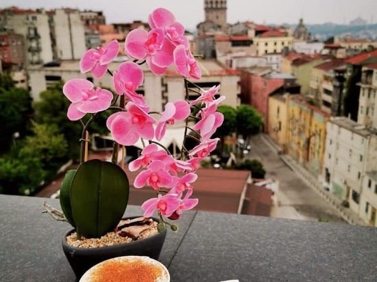 Galata Times Boutique Hotel Istanbul Price Address Reviews