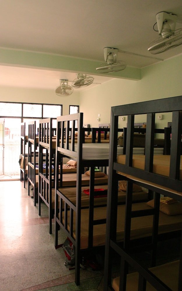 Born Free Hostel Room Type - 10-Beds Mixed Dormitory with Fan