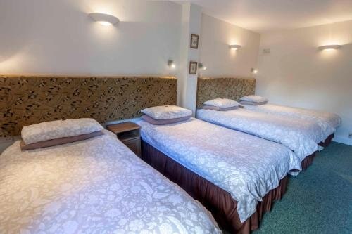 Melrose House Room Type - Quadruple Room