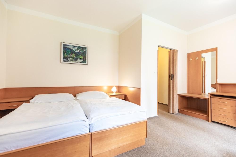 Vila Lanna Room Type - Double or Twin Room