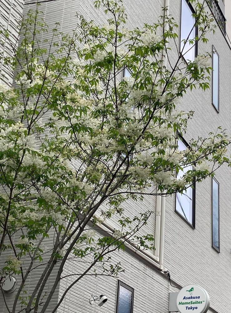 Asakusa HomeSuites Tokyo