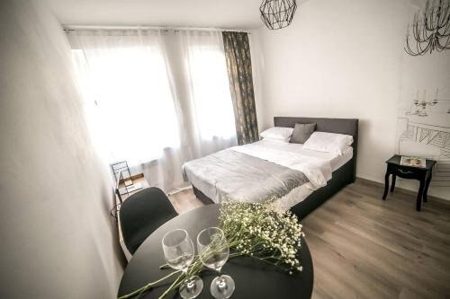 Prague friendly apartments in Prague Room Type - Superior Apartment