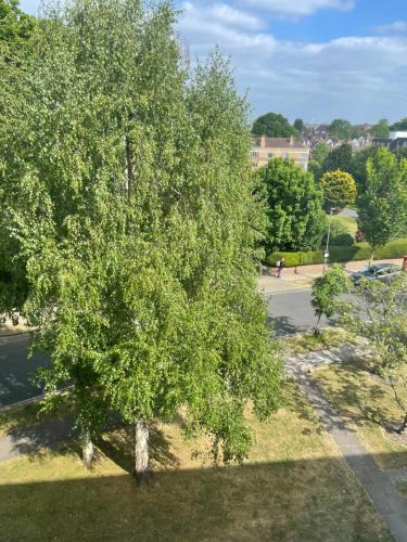 Canary Wharf Luxury Apartments Room Type - Apartment with Garden View