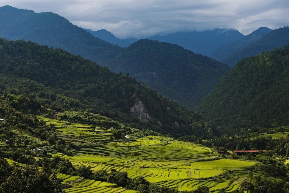 كومو أوما بارو