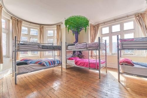 Hootananny Hostel Room Type - Bunk Bed in Mixed Dormitory Room