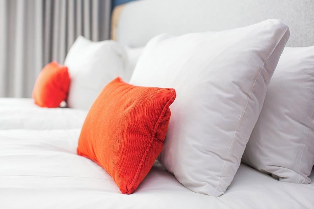 Holiday Inn Express AMSTERDAM - NORTH RIVERSIDE Room Type - 2 Twin Standard City View with Free Breakfast