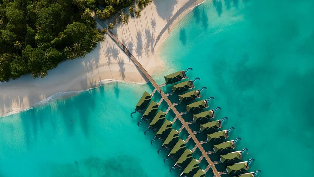 Siyam World Maldives - 24-Hour Premium All-inclusive with Free Transfer ...