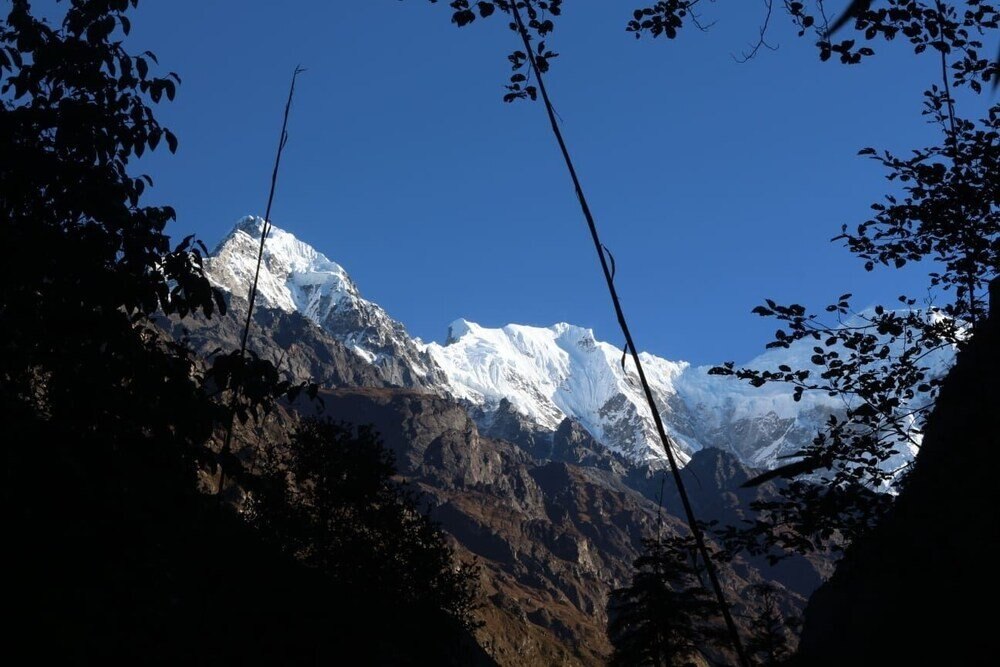 Shree yoga retreat - Tap to explore photos