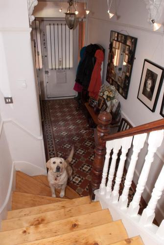 Muswell Hill B&B - Tap to explore photos