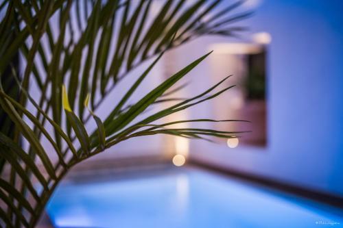 Laz' Hotel Spa Urbain Paris - Tap to explore photos