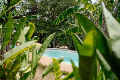 Samui Blue Bird Room Type - Vacation Home