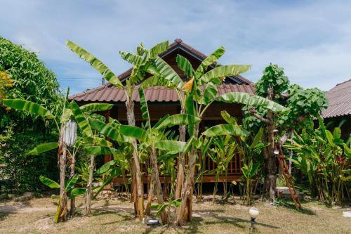 Samui Blue Bird - Tap to explore photos