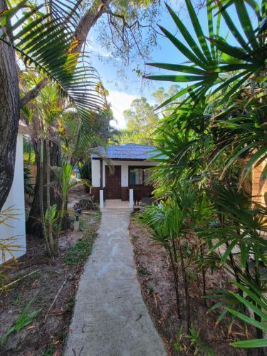 Satva Samui Yoga and Wellness Resort Room Type - Bungalow