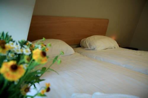 Hotel 55 - City Centre Room Type - Standard Twin Room