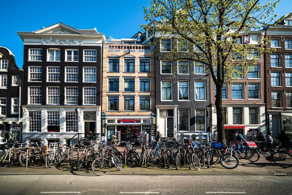 Dutch House - Tap to explore photos