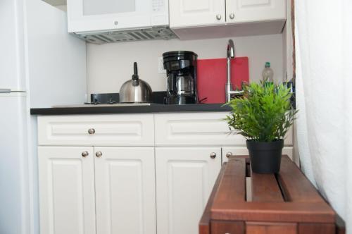 Studios in New York Room Type - Studio Apartment