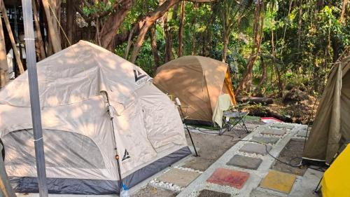 Do Dee cafe Room Type - Tent