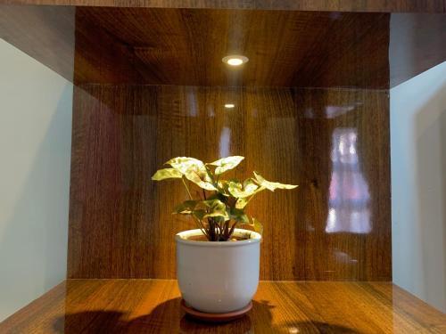 Hotel ABC, Boutique Hotel in Pokhara - Tap to explore photos