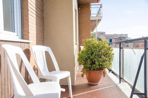 By Grace - Tap to explore photos