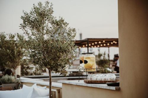 The Vista Rooms & Terrace - Tap to explore photos