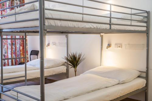 Hostel Little Quarter Room Type - Bunk Bed in Mixed Dormitory Room