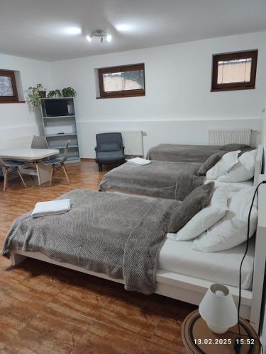 Villa Homestay Nad Helmrovkou Room Type - Budget Triple Room