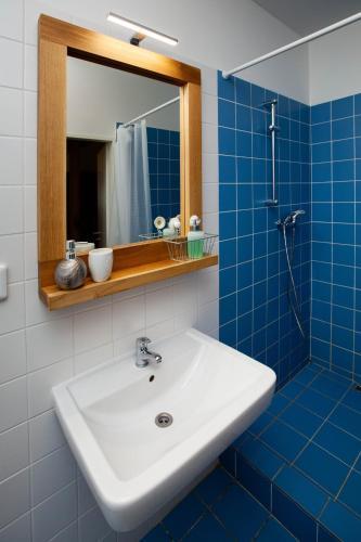 Žižkov Cosy Studio Apartments Room Type - Studio Apartment