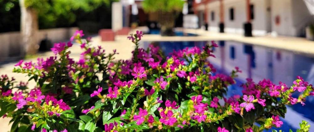 Surintra Boutique Resort - Tap to explore photos