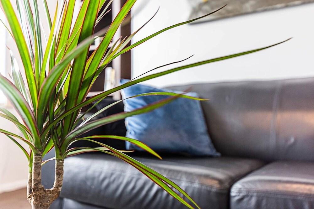 Magnificent and centrally located flat - Tap to explore photos