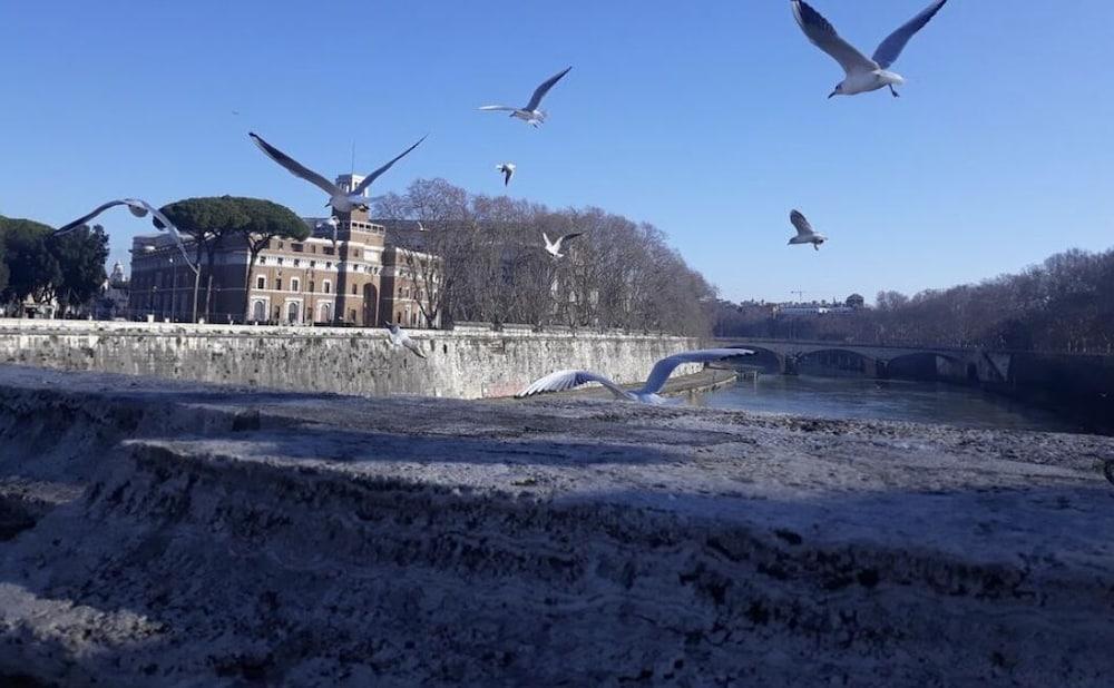 Lungotevere Collection Suite - Tap to explore photos