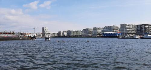 Waterfront Studio - Tap to explore photos