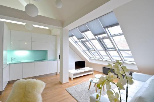 Designer Loft 2
