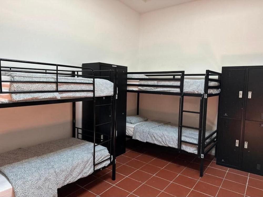 St Kilda Accommodation - Hostel Room Type - Bed in 8 Bed Mixed Dormitory Room