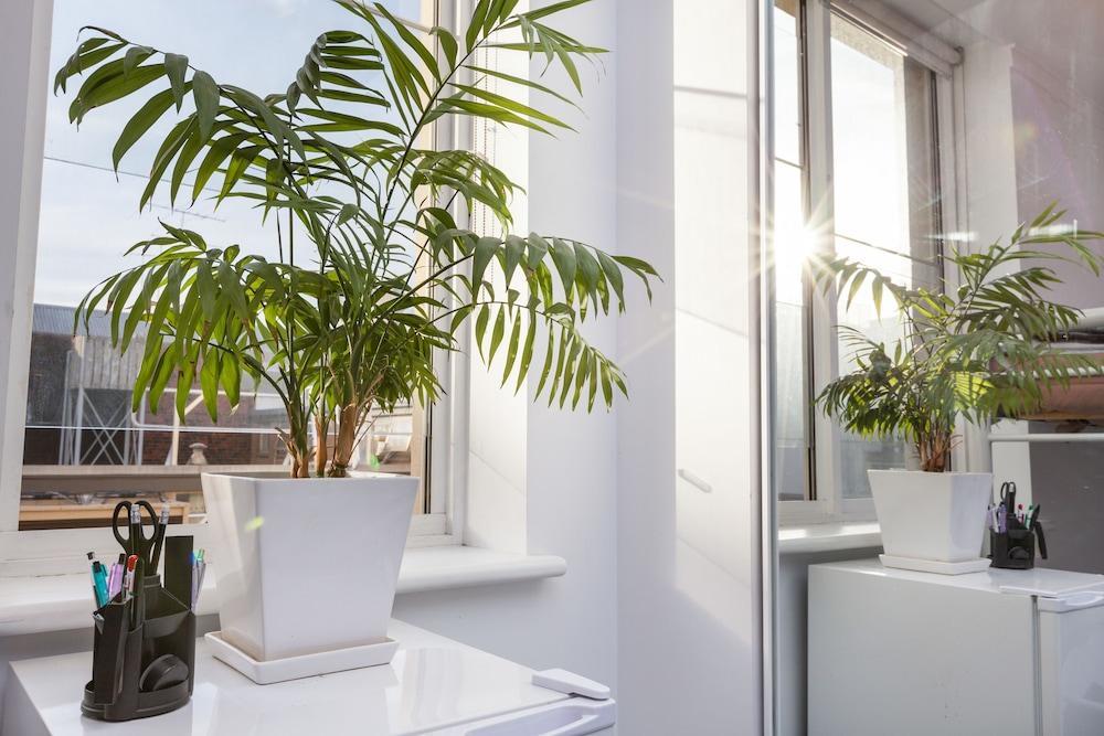 HENRIETTA, Carlton Studio Apartment - Tap to explore photos