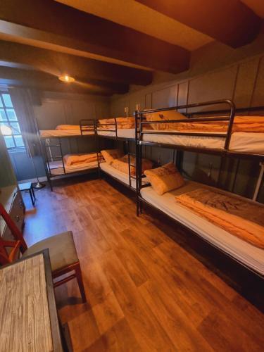 Amsterdam Downtown Hotel Canal View Room Type - Single Bed in 10-Bed Dormitory Room